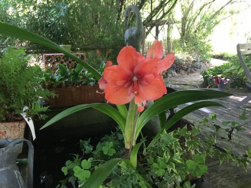 La Sauvagine Terre et Passion®