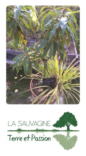 La Sauvagine Terre et Passion®