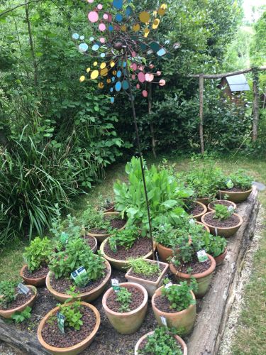 La Sauvagine Terre et Passion®