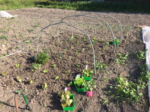 La Sauvagine Terre et Passion®