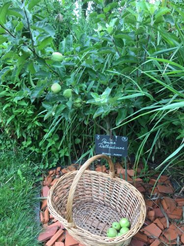 La Sauvagine Terre et Passion®