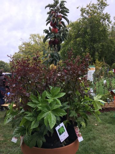 La Sauvagine Terre et Passion®