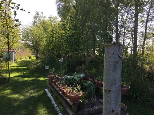 La Sauvagine Terre et Passion®