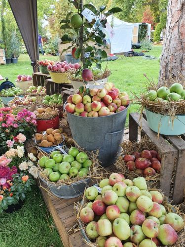 La Sauvagine Terre et Passion®