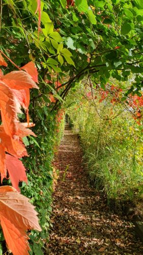 La Sauvagine Terre et Passion®