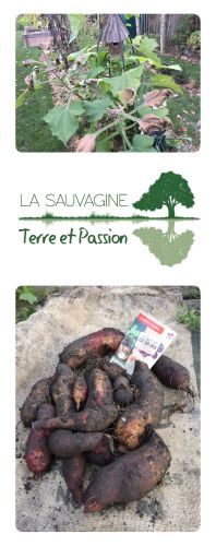 La Sauvagine Terre et Passion®