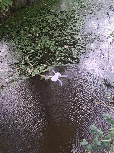 La Sauvagine Terre et Passion®