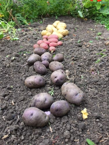 La Sauvagine Terre et Passion®