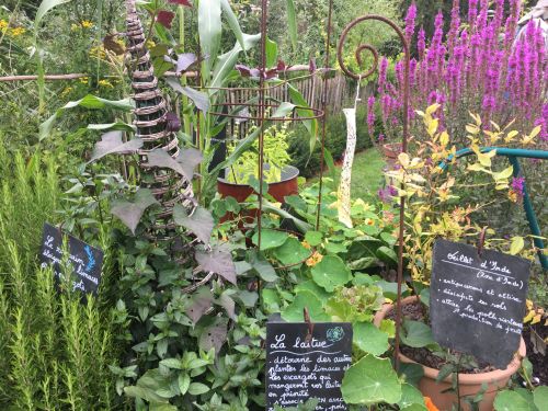 La Sauvagine Terre et Passion®