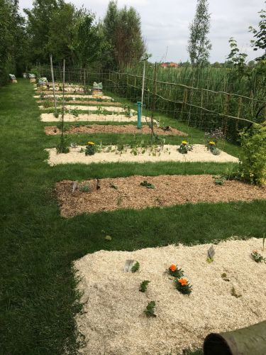 La Sauvagine Terre et Passion®