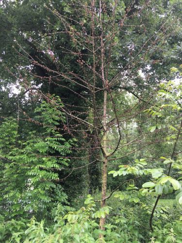 La Sauvagine Terre et Passion®