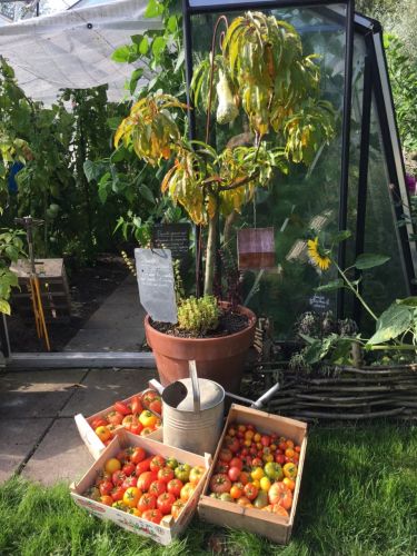 La Sauvagine Terre et Passion®