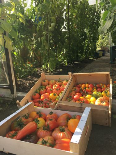 La Sauvagine Terre et Passion®