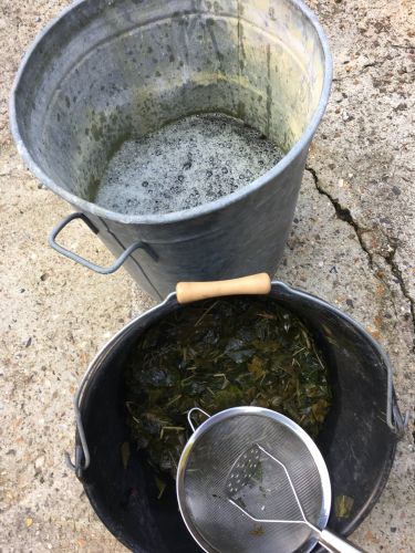 La Sauvagine Terre et Passion®