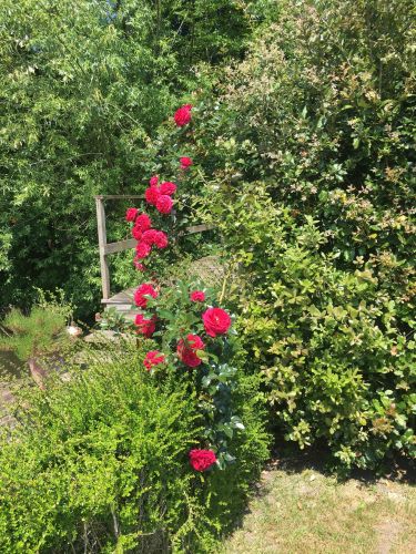 La Sauvagine Terre et Passion®