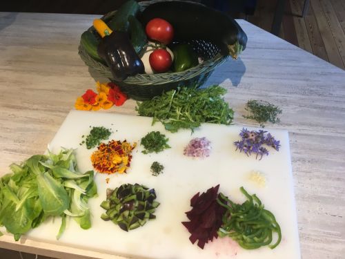 La Sauvagine Terre et Passion®