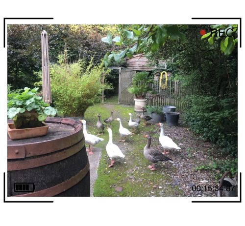 La Sauvagine Terre et Passion®