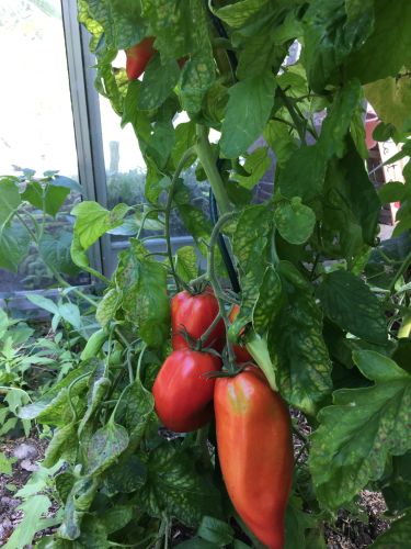 La Sauvagine Terre et Passion®