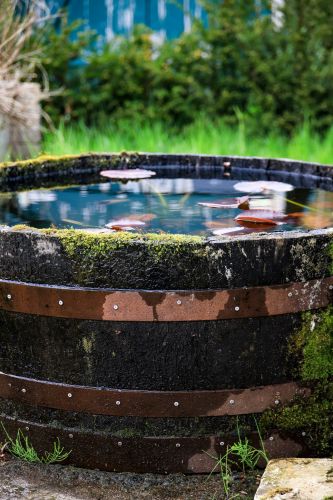 La Sauvagine Terre et Passion®