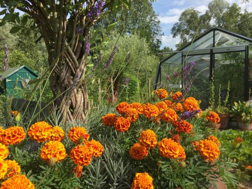 La Sauvagine Terre et Passion®