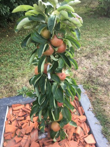 La Sauvagine Terre et Passion®