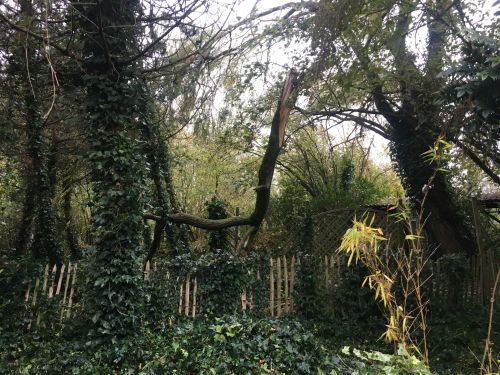 La Sauvagine Terre et Passion®