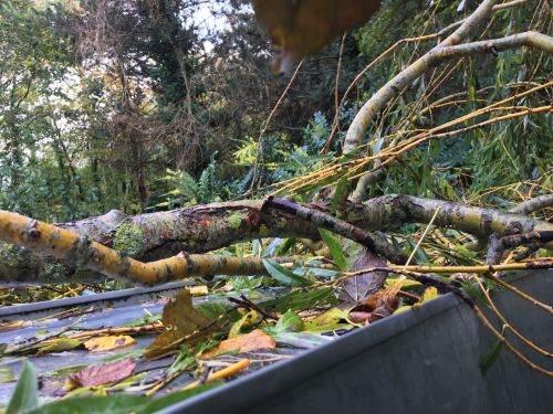 La Sauvagine Terre et Passion®