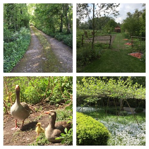 La Sauvagine Terre et Passion®