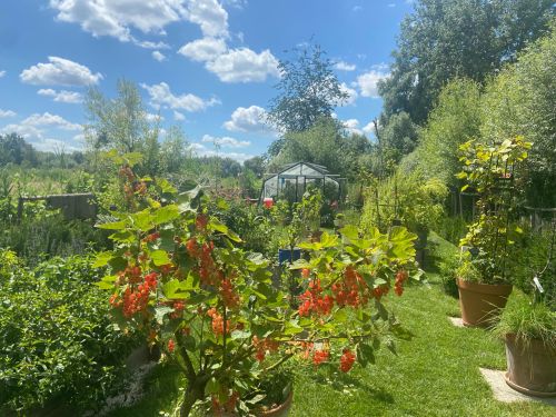 La Sauvagine Terre et Passion®