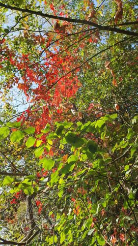 La Sauvagine Terre et Passion®