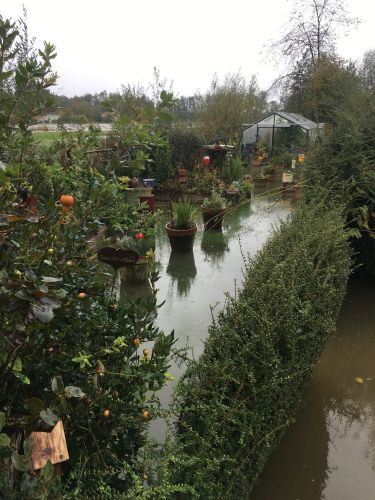 La Sauvagine Terre et Passion®