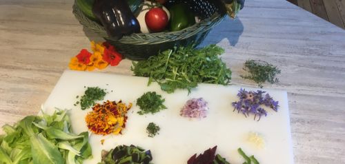 La Sauvagine Terre et Passion®