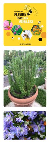 La Sauvagine Terre et Passion®