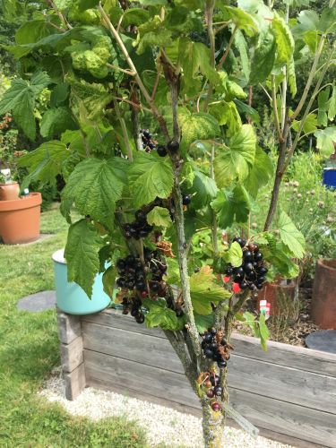 La Sauvagine Terre et Passion®