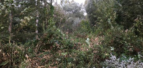 La Sauvagine Terre et Passion®