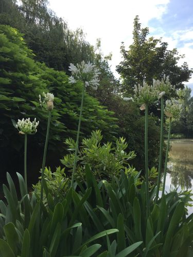 La Sauvagine Terre et Passion®