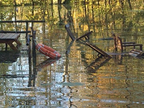 La Sauvagine Terre et Passion®