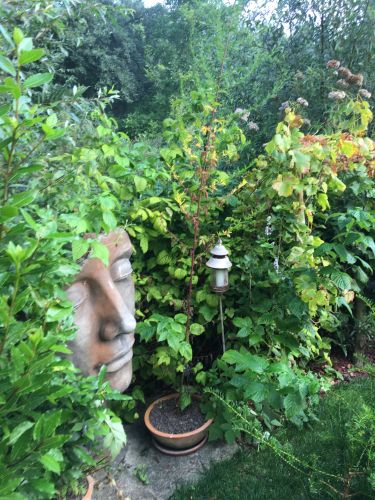 La Sauvagine Terre et Passion®