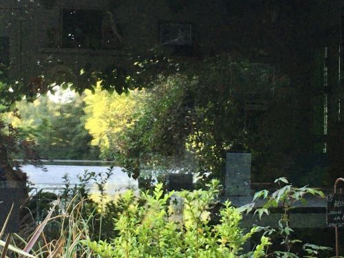 La Sauvagine Terre et Passion®