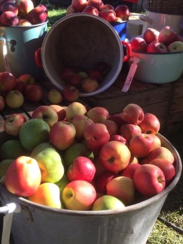 La Sauvagine Terre et Passion®