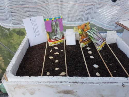 La Sauvagine Terre et Passion®