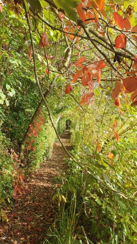 La Sauvagine Terre et Passion®