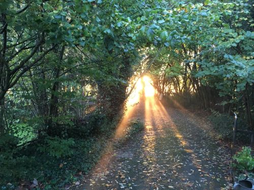 La Sauvagine Terre et Passion®