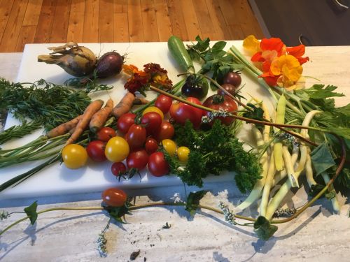 La Sauvagine Terre et Passion®