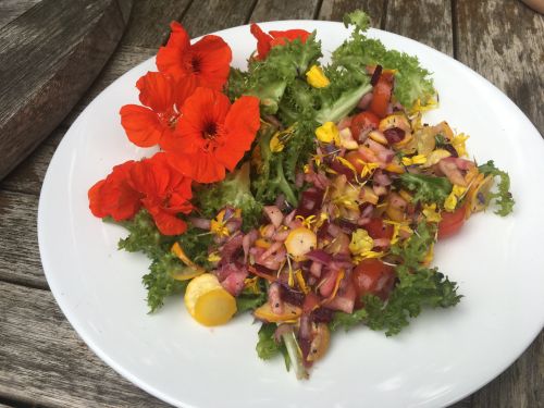 La Sauvagine Terre et Passion®