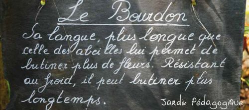 La Sauvagine Terre et Passion®