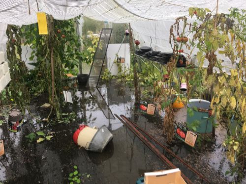 La Sauvagine Terre et Passion®