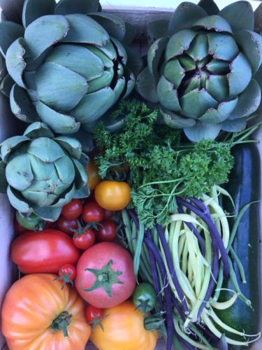 La Sauvagine Terre et Passion®