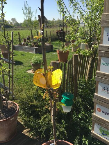 La Sauvagine Terre et Passion®