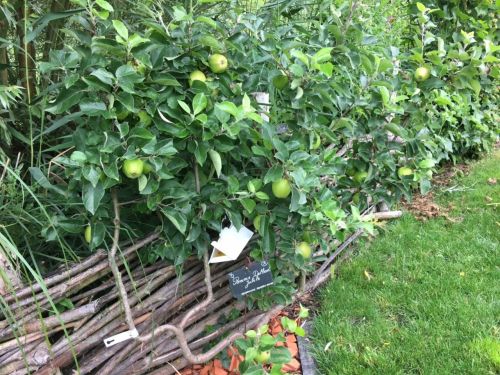 La Sauvagine Terre et Passion®